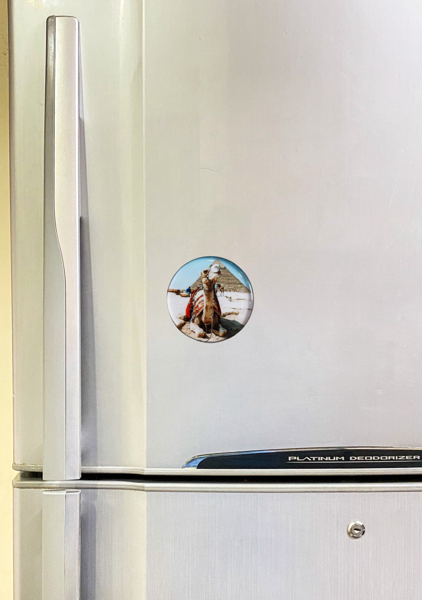 Pyramids and Camel Fridge Magnet