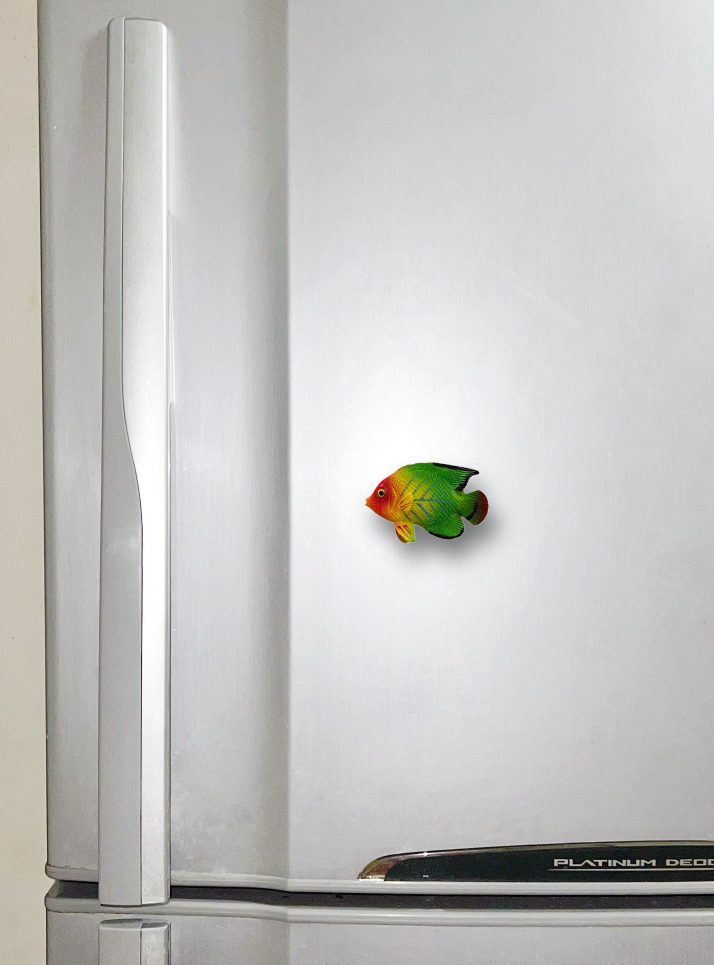 Lemon Butterfly Fish Fridge Magnet