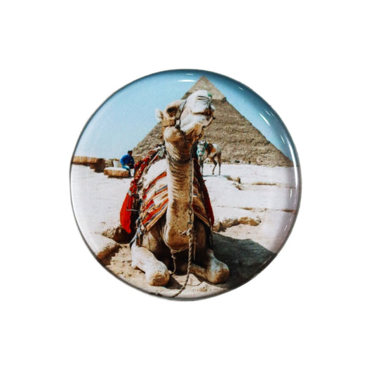 Pyramids and Camel Fridge Magnet